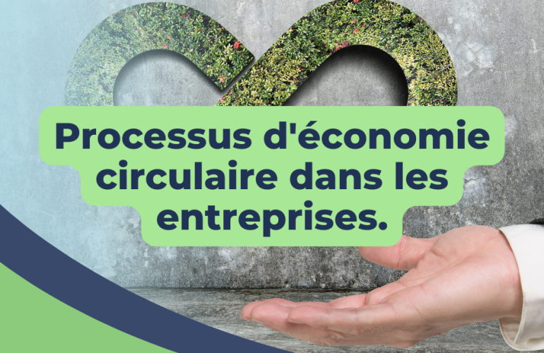 Services de conseil pour la mise en place de processus d'économie circulaire dans les entreprises.