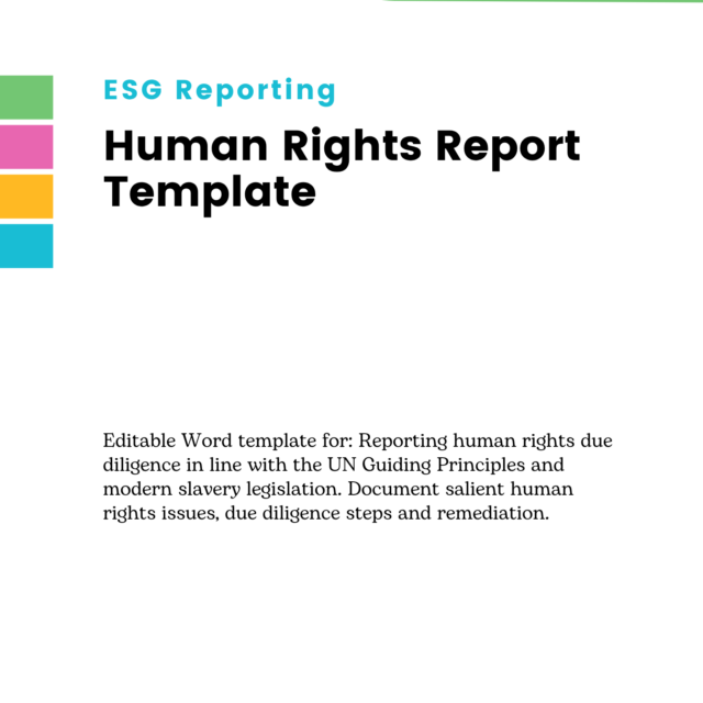 Human Rights Report Template