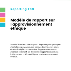 Modèle de rapport sur l'approvisionnement éthique