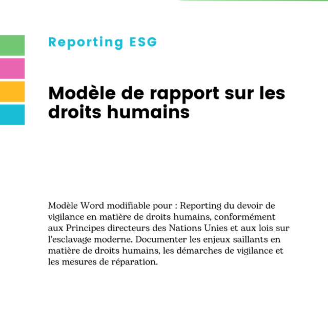 Modèle de rapport sur les droits humains